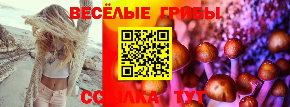Галлюциногенные грибы мицелий Нижний Новгород